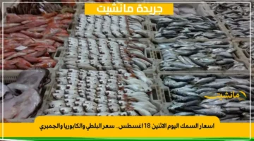 اسعار السمك اليوم الاثنين 18 أغسطس.. سعر البلطي والكابوريا والجمبري